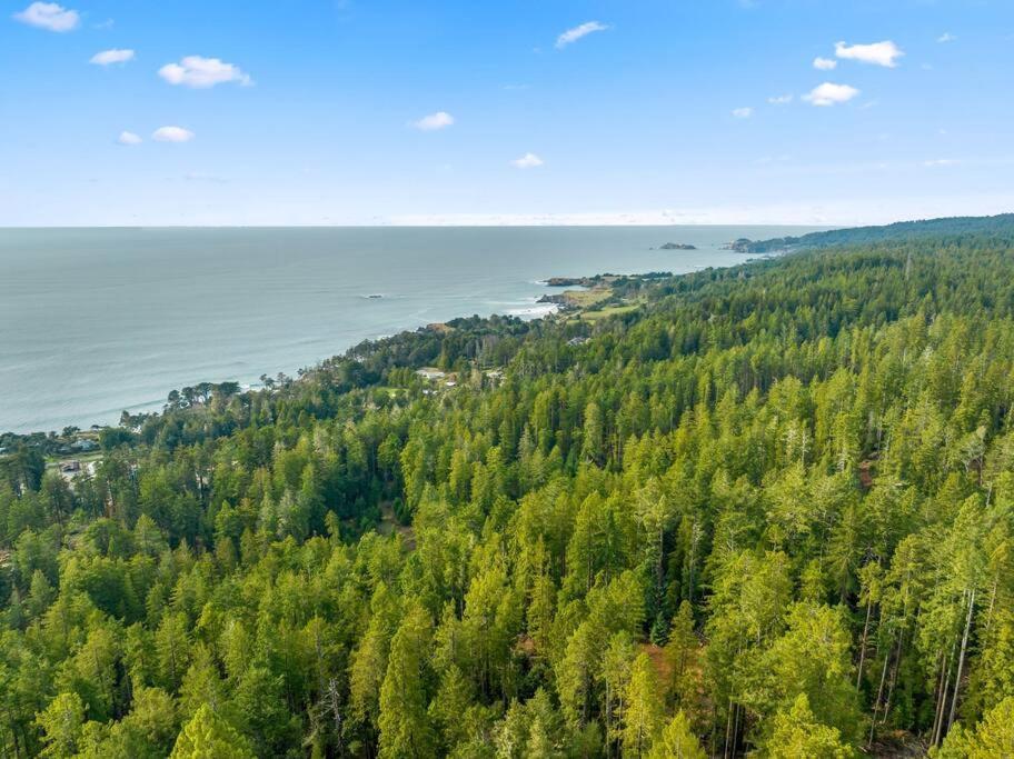 Grandma'S Cabin By The Sea Gualala Zewnętrze zdjęcie